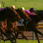 競馬で儲けるには？予想サイトを利用するメリットと使わないデメリット