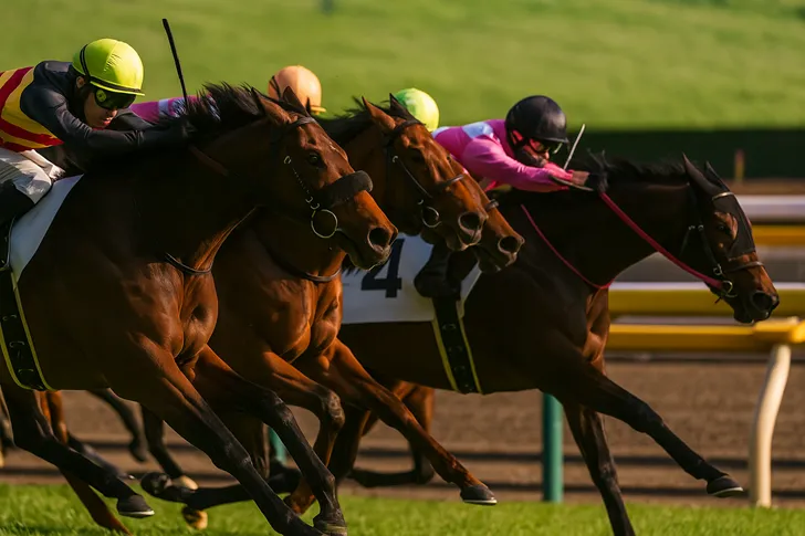 競馬で儲けるには？予想サイトを利用するメリットと使わないデメリット