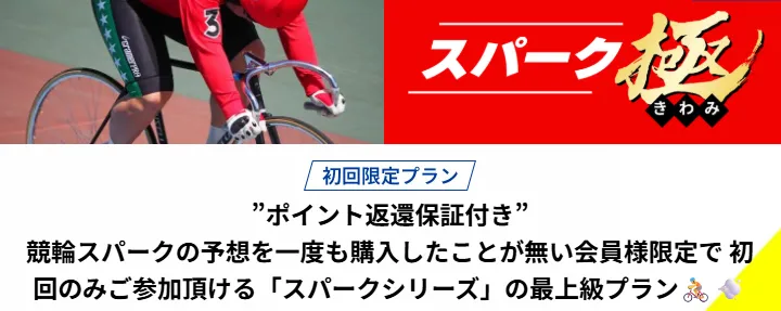 迷ったら『スパーク極』から始めるべき