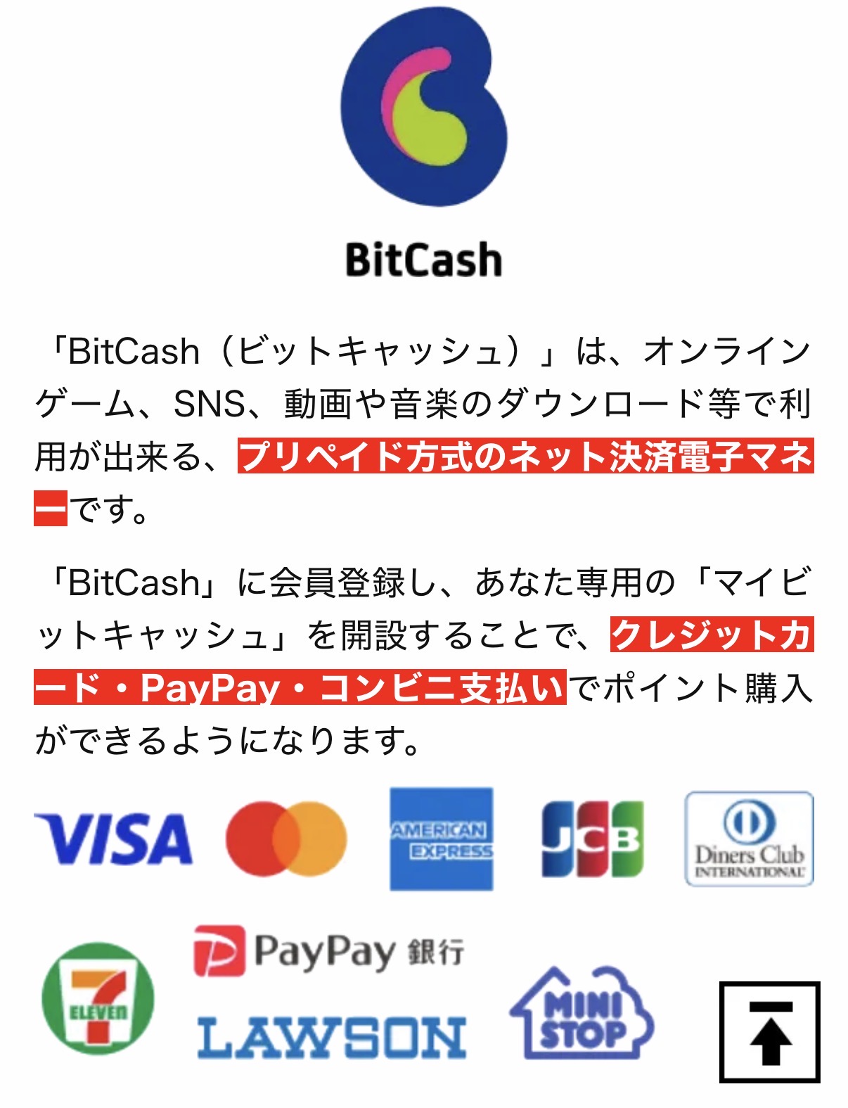 競艇予想サイト　競艇サバイバー　支払い方法　BitCash