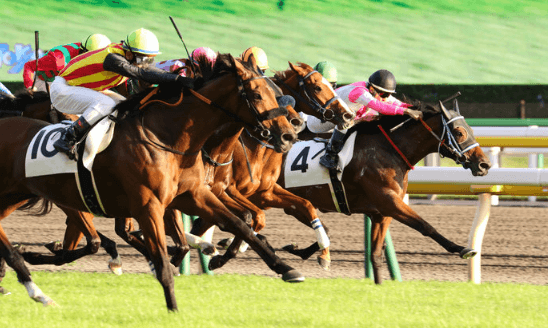 競馬予想サイト　怪しい