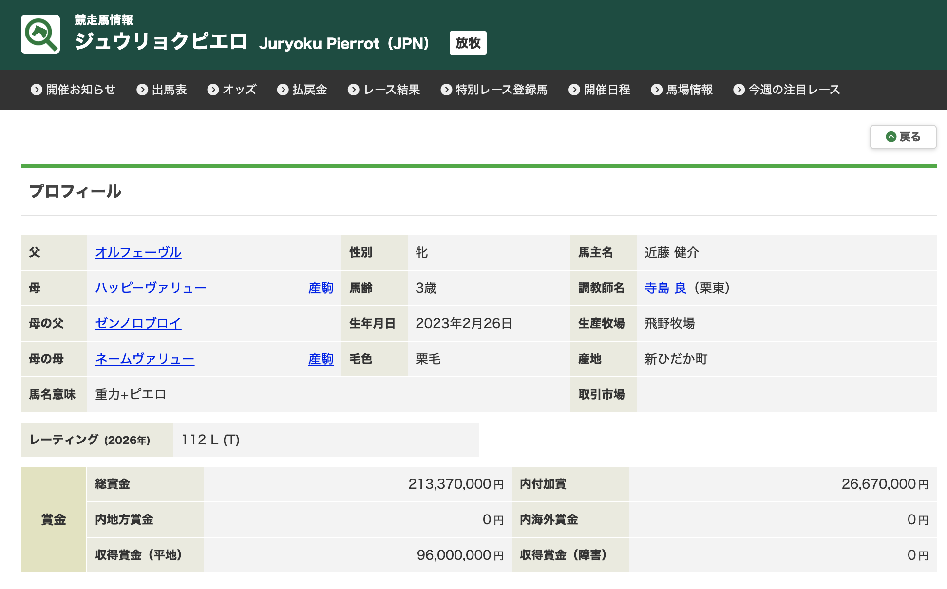 JRA 競馬　競走馬　検索