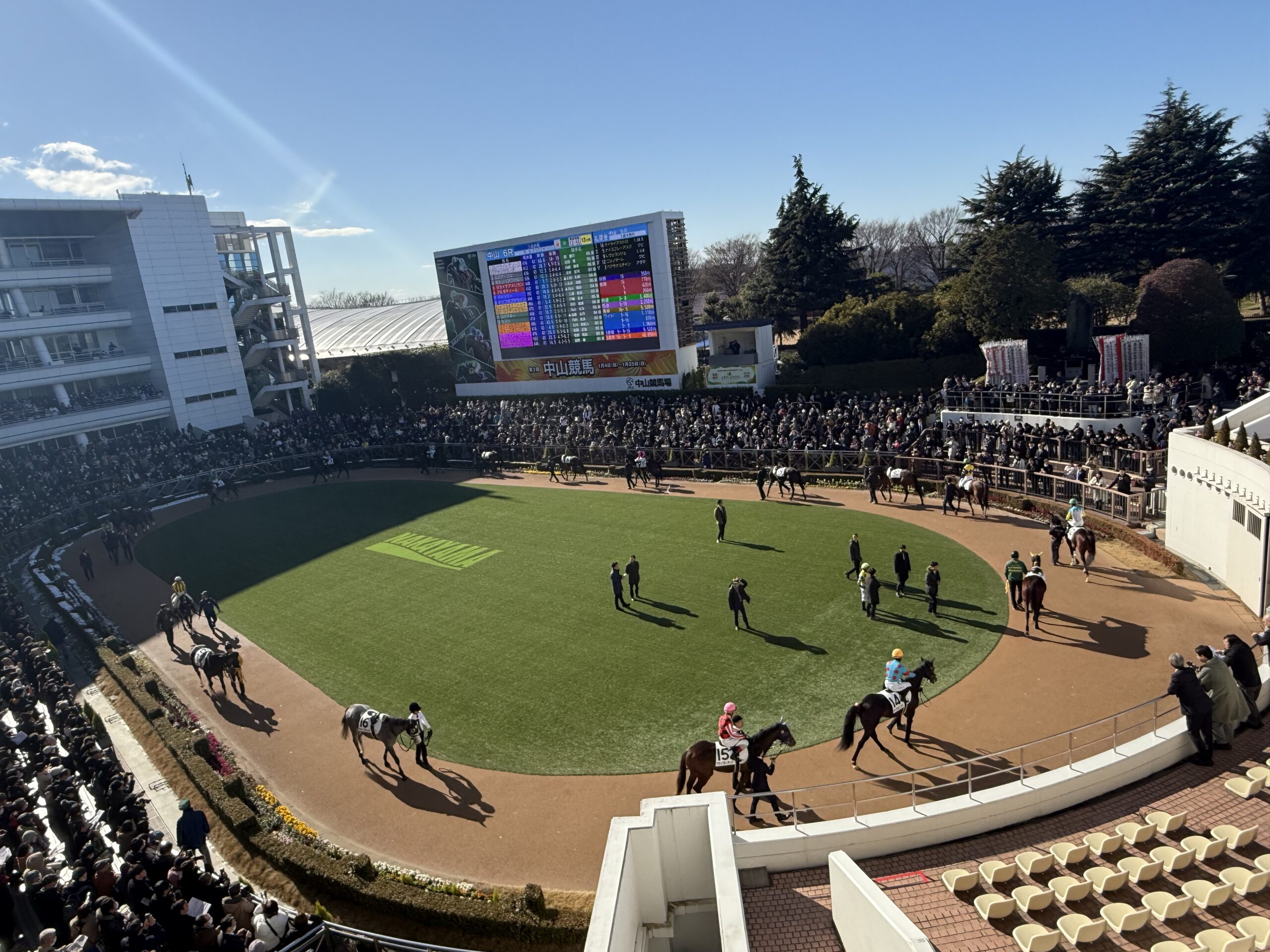 パドック 競馬 中山競馬場