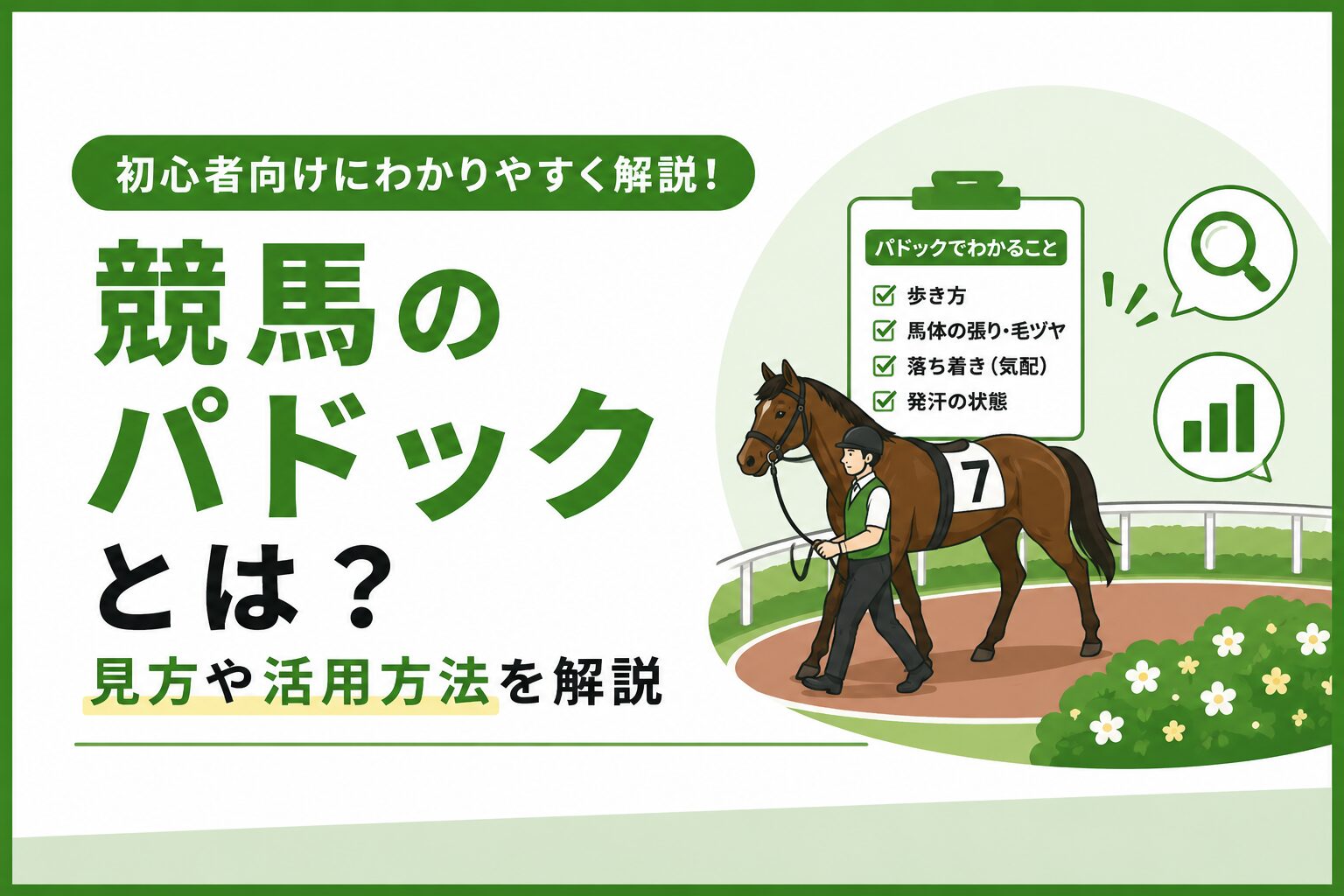 競馬のパドックとは?初心者向けに見方や馬の状態をわかりやすく解説