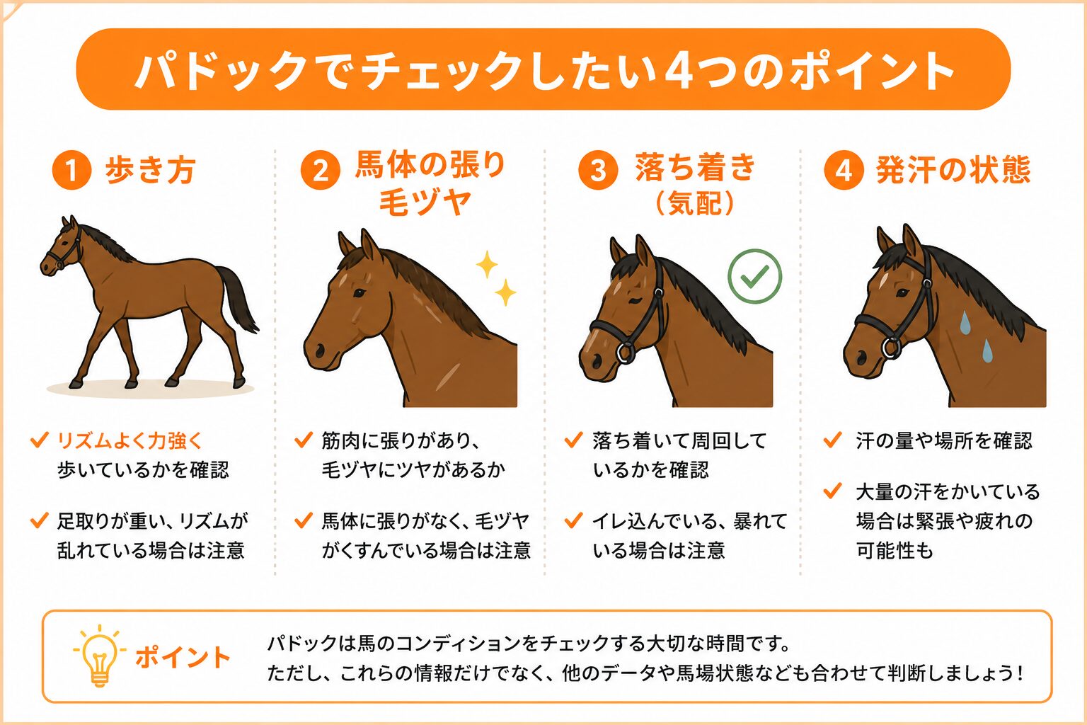 競馬 パドック 確認 ポイント 初心者 解説