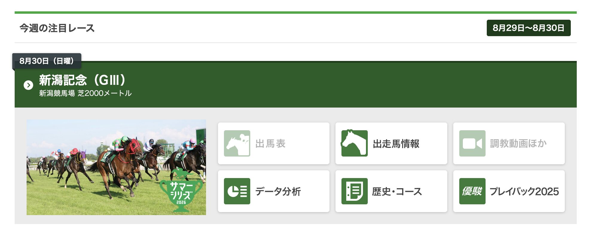 新潟記念　競馬　解説
