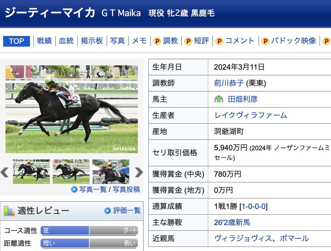 競馬　競走馬　ジーティーマイカ