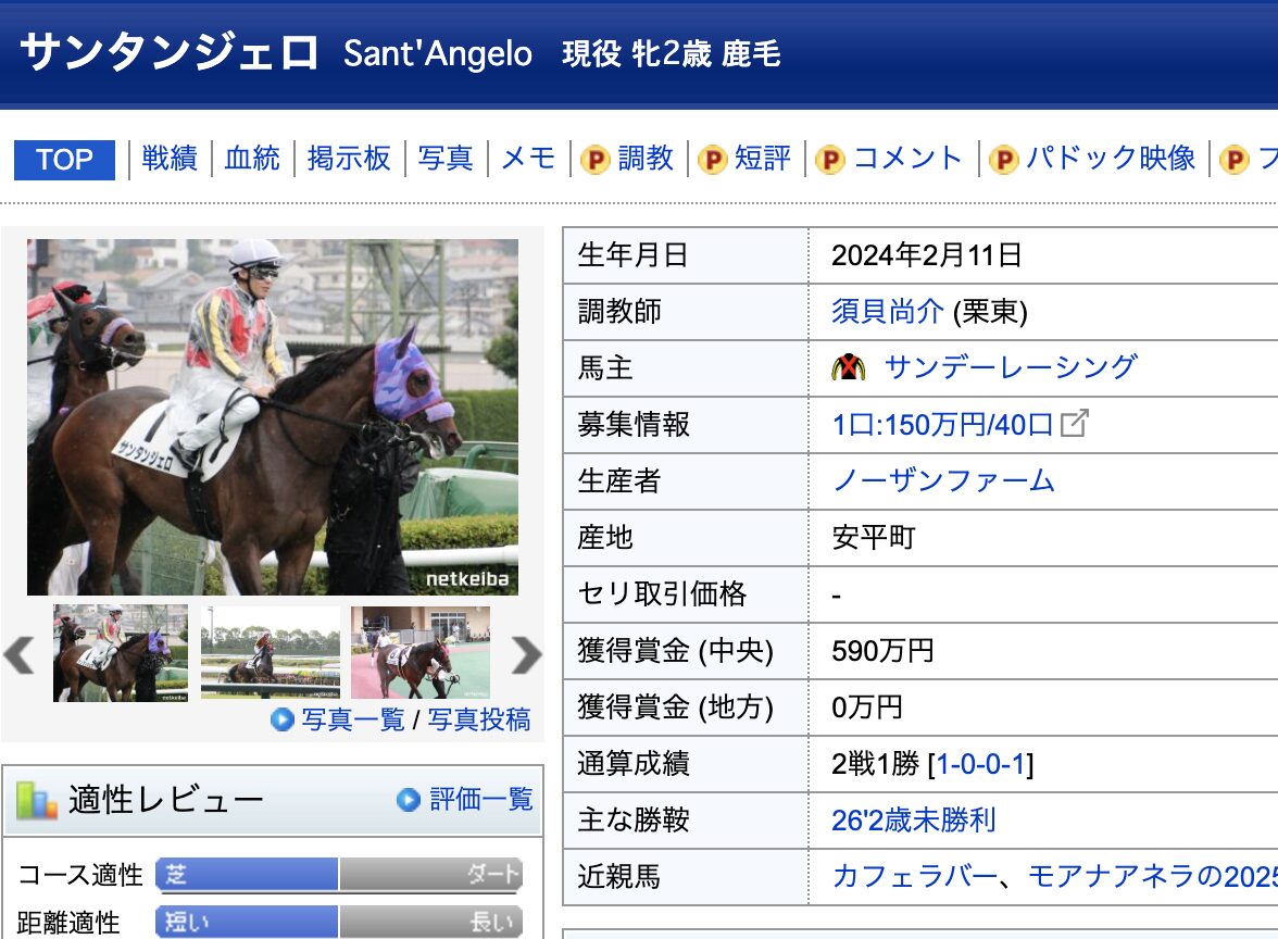 競馬　競走馬　サンタンジェロ