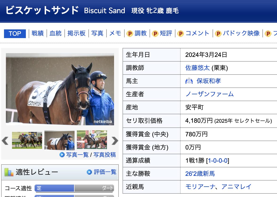 競馬　競走馬　ビスケットサンド