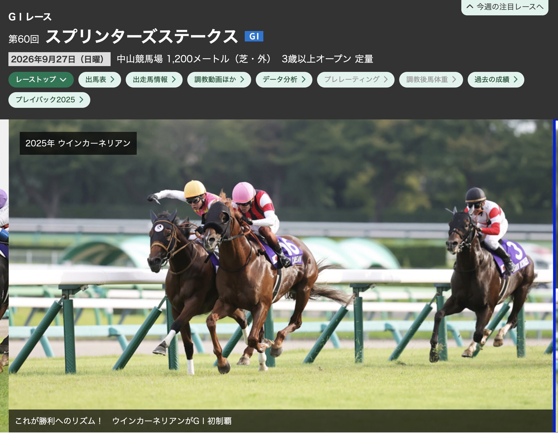 競馬　秋競馬　スプリンターズステークス　G1 重賞レース