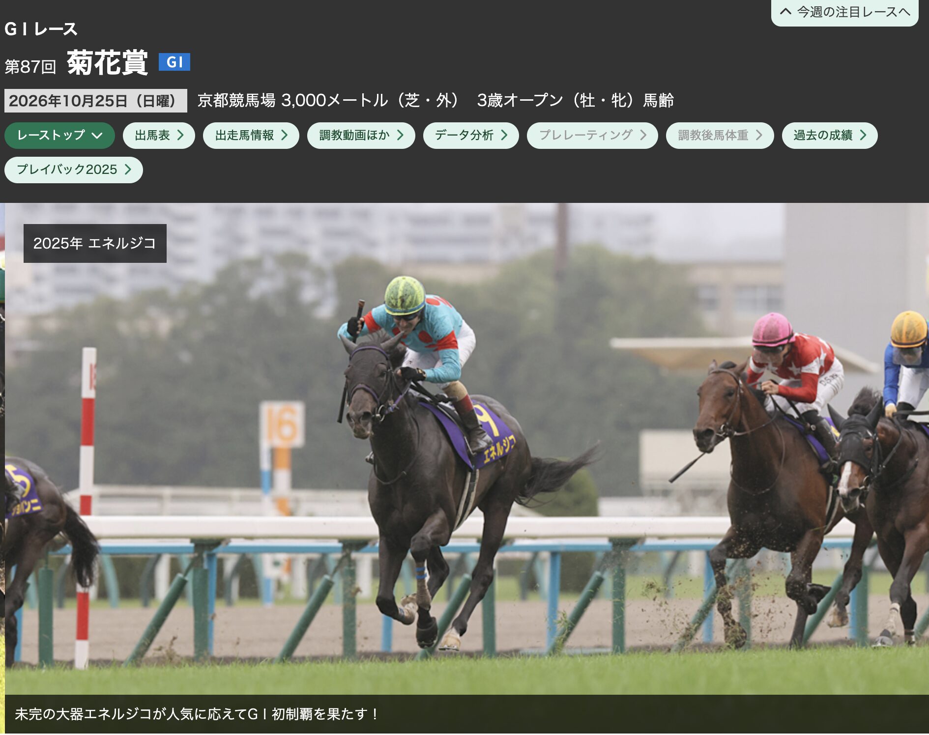 競馬　菊花賞　秋競馬　重賞レース　G1