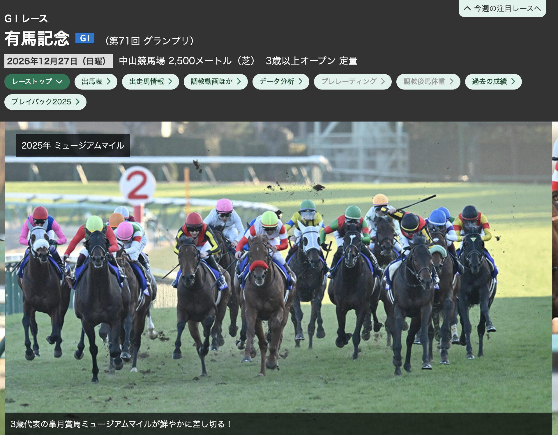 競馬　秋競馬　有馬記念　重賞レース　G1