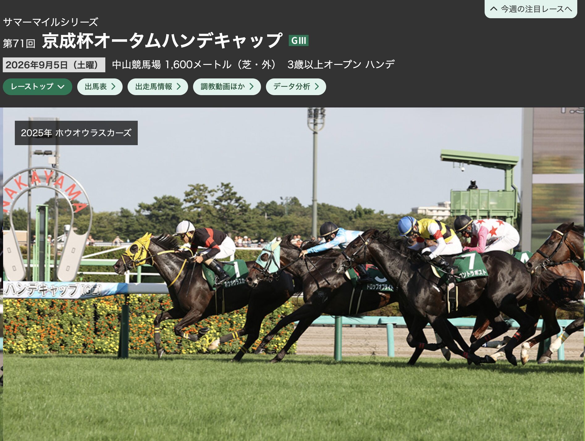 京成杯オータム2026 中山競馬場　G3 競馬　重賞レース　サマーマイルシリーズ