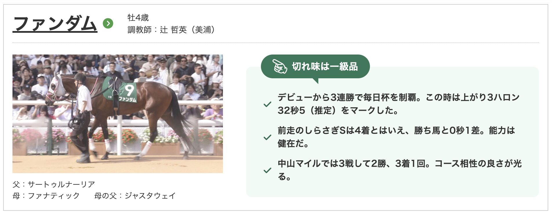 競馬　競走馬　ファンダム