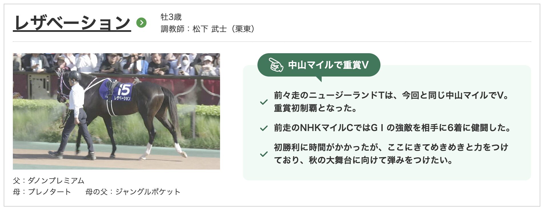 競馬　競走馬　レザベーション