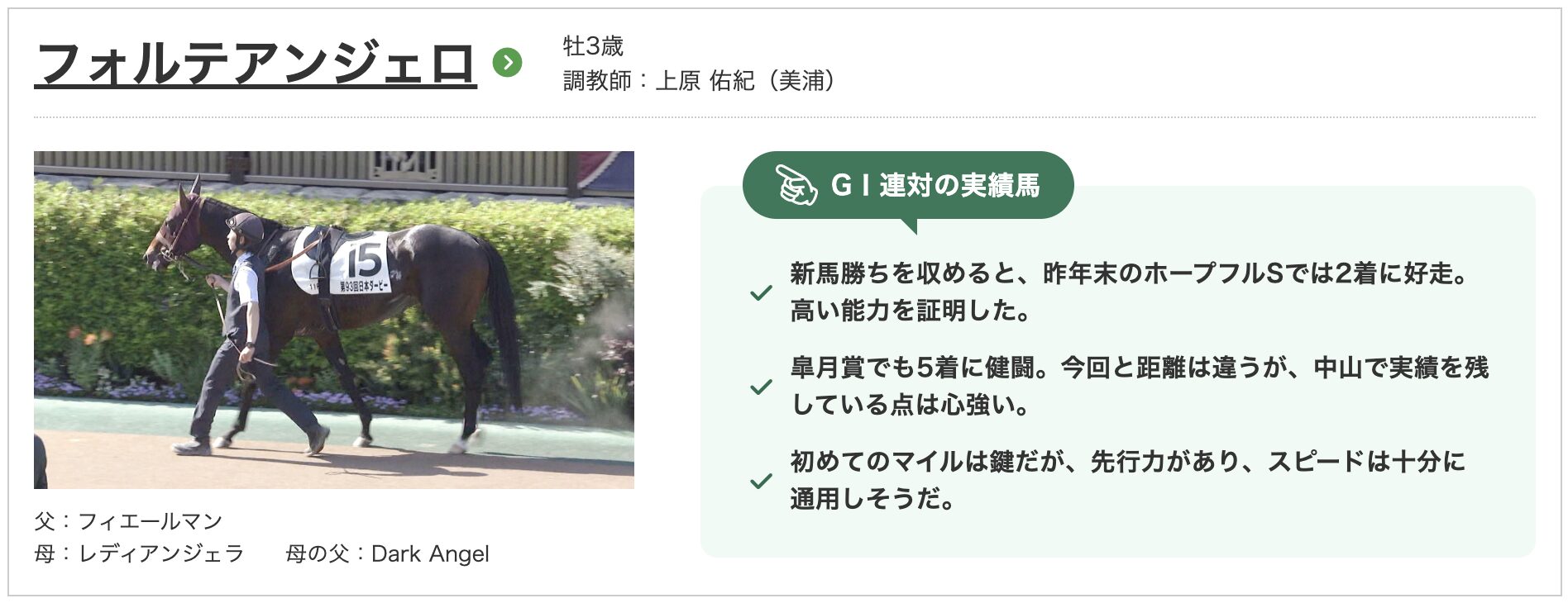 競馬　競走馬　フォルテアンジェロ