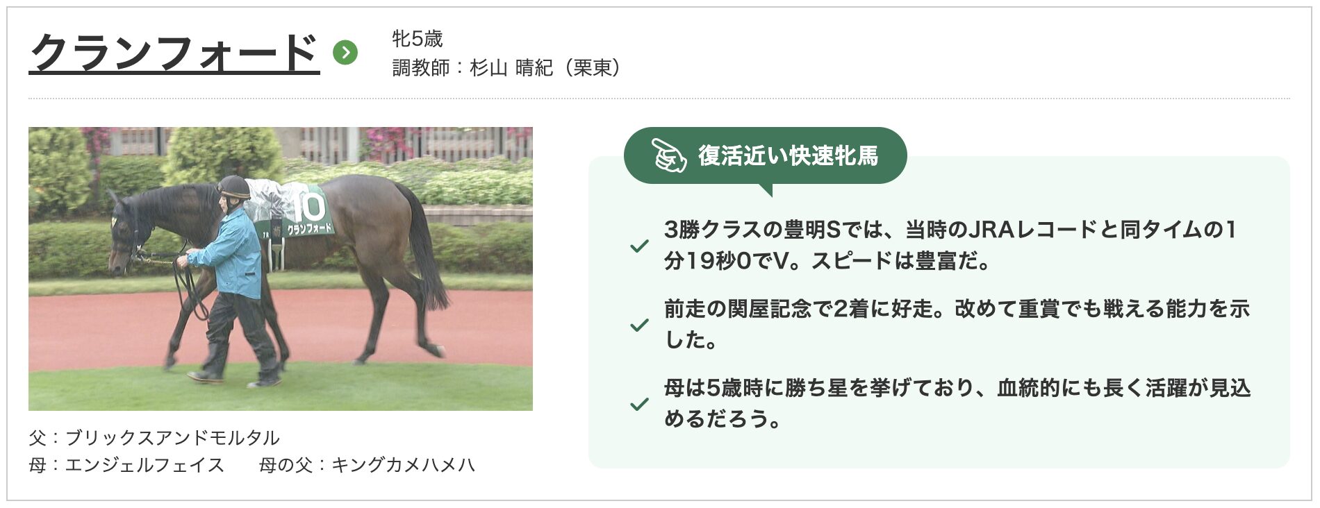 競馬　競走馬　クランフォード
