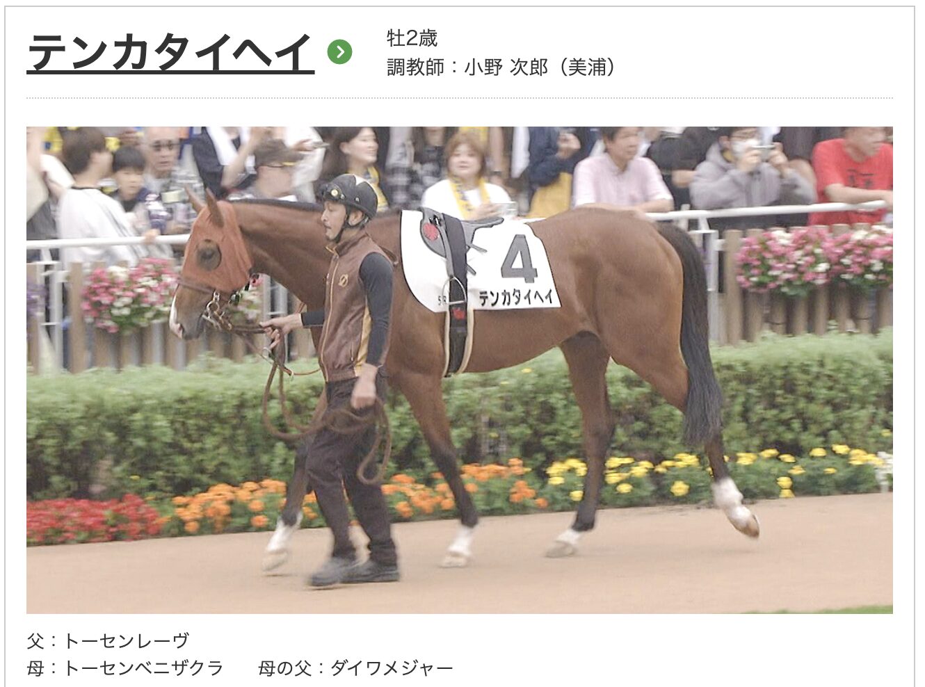 競馬　競走馬　テンカタイヘイ