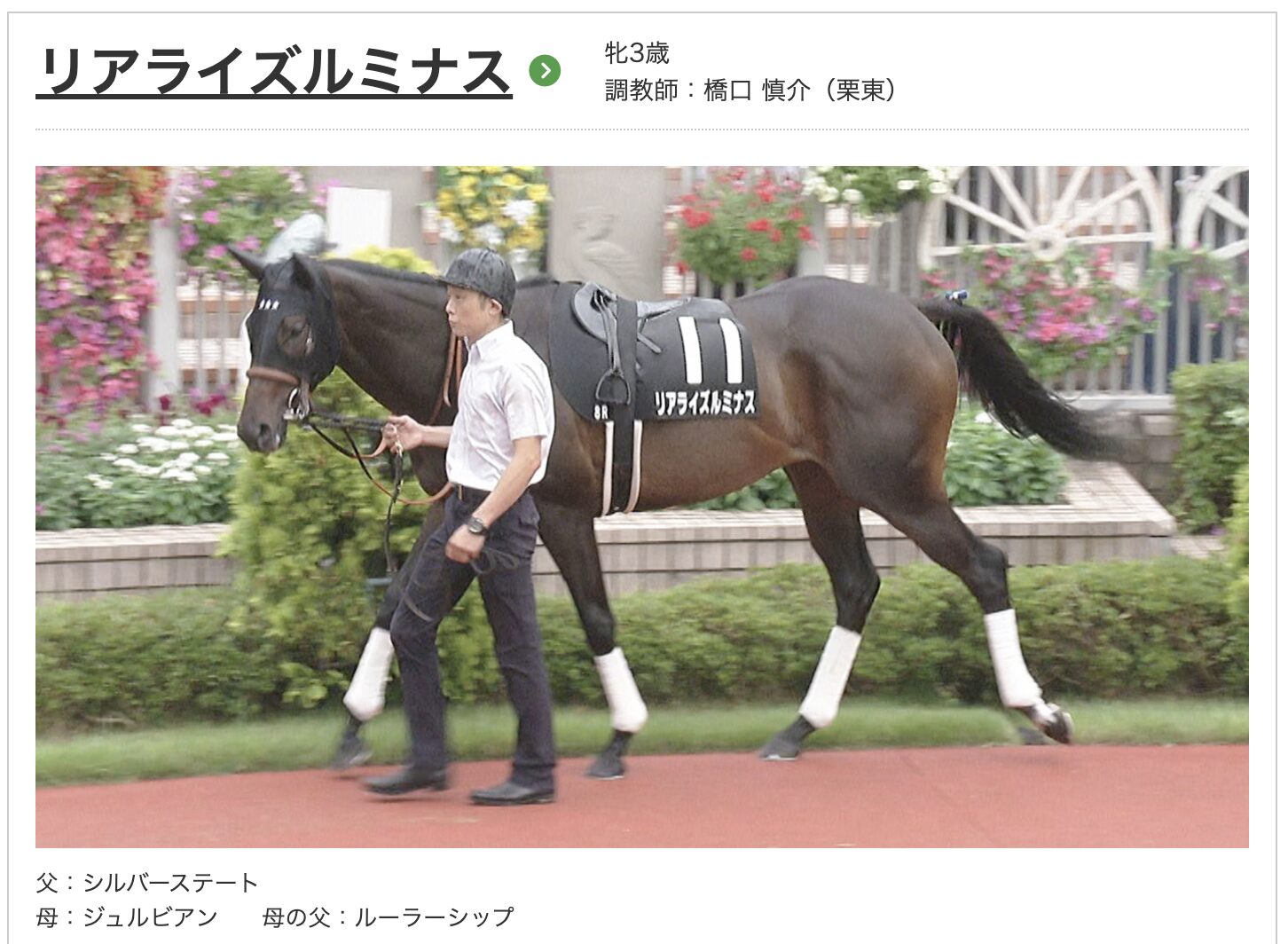 競馬　競走馬　リアライズルミナス