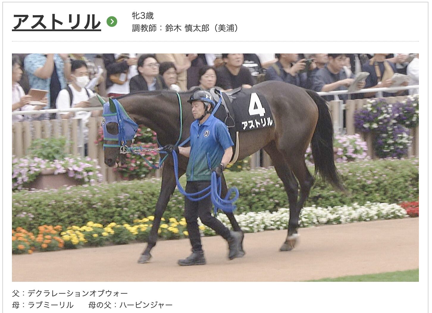 競馬　競走馬　アストリル