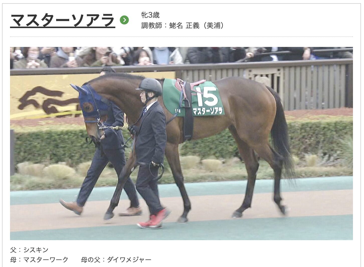 競馬　競走馬　マスターソアラ