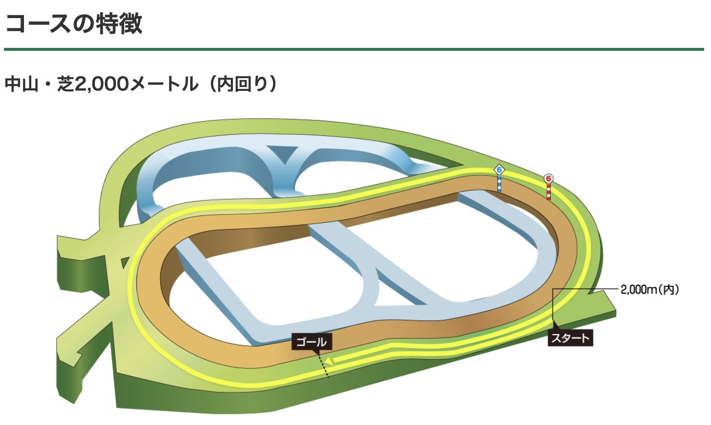 競馬　紫苑ステークス　2026年　中山競馬場　芝　特徴　コース