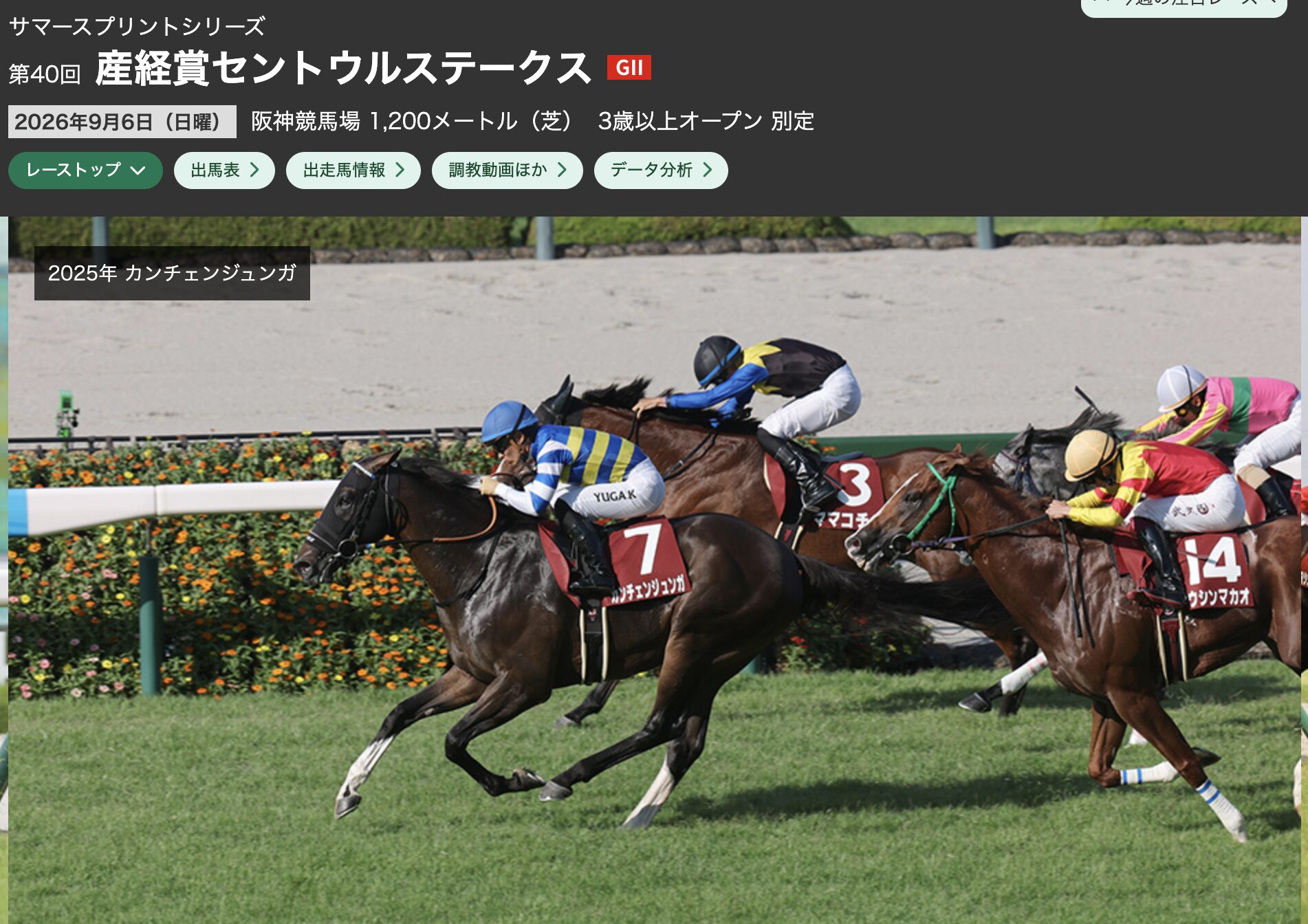 競馬　産経賞セントウルステークス　G2 2026年