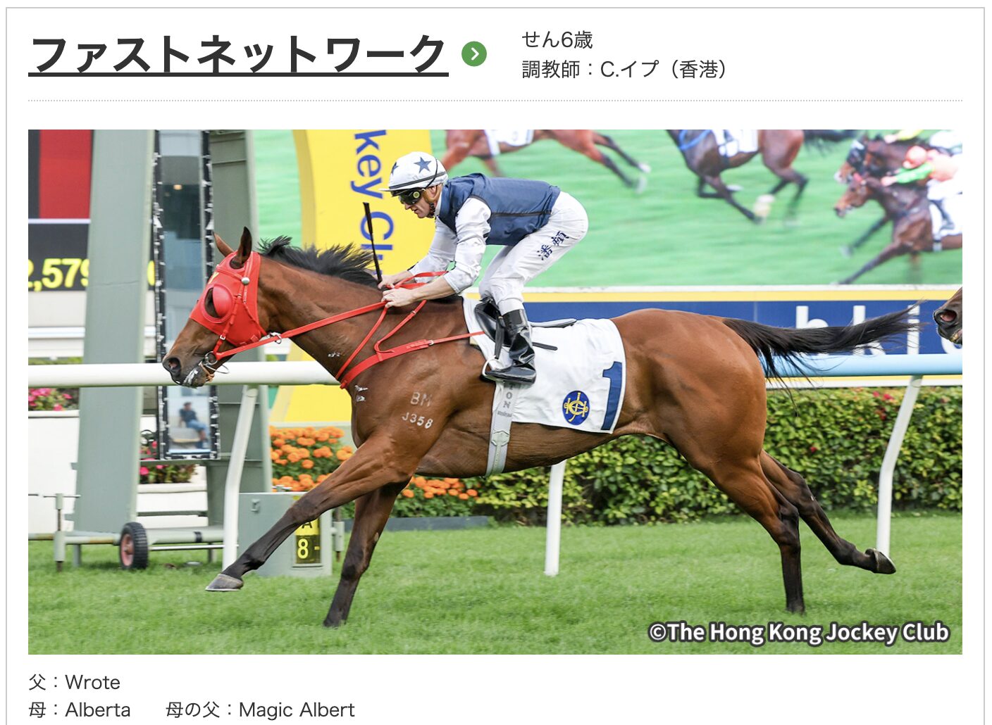 競馬　競走馬　ファストネットワーク