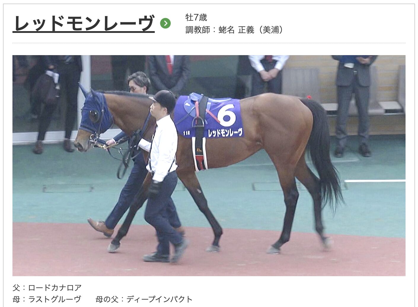競馬　競走馬　レッドモンレーヴ