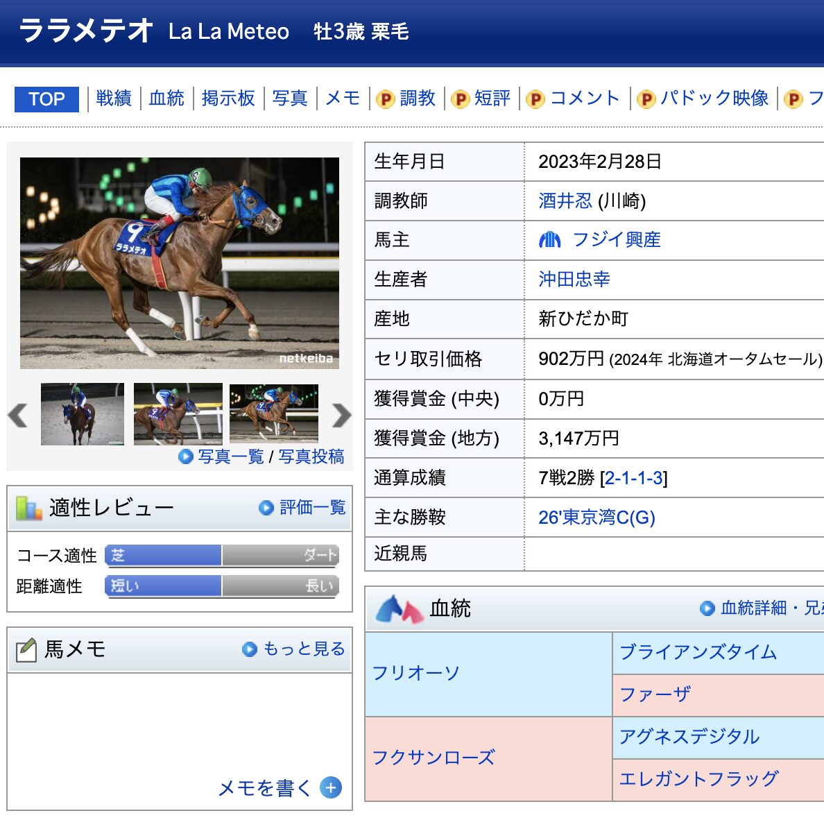 競馬　競走馬　ララメテオ