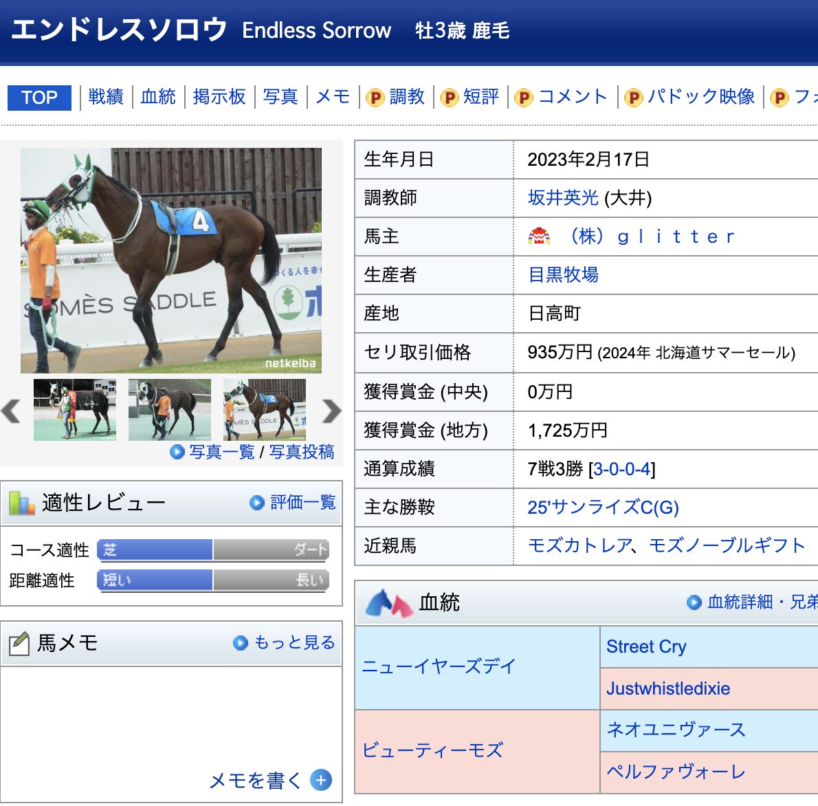 競馬　競走馬　エンドレスソロウ
