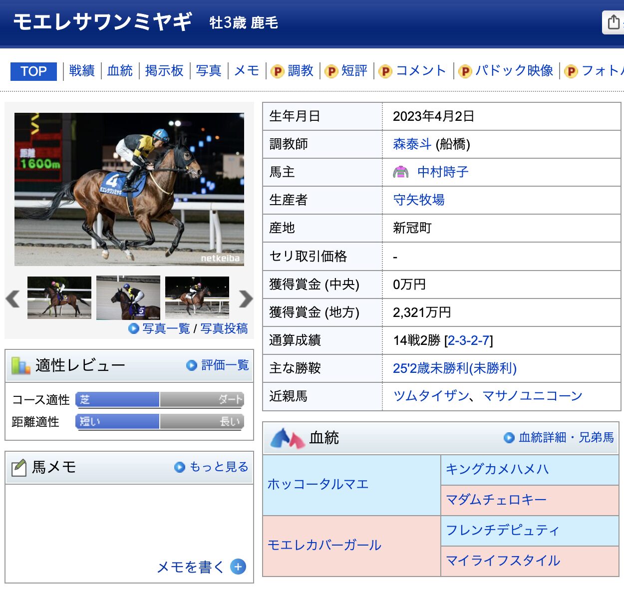 競馬　競走馬　モエレサワンミヤギ
