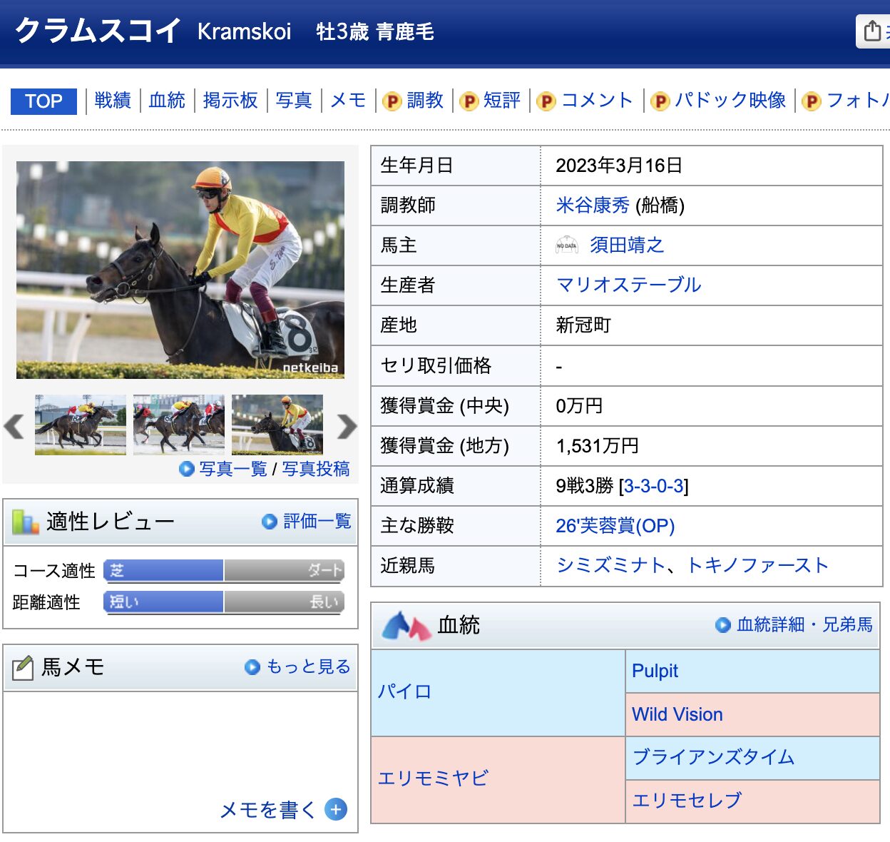 競馬　競走馬　クラムスコイ