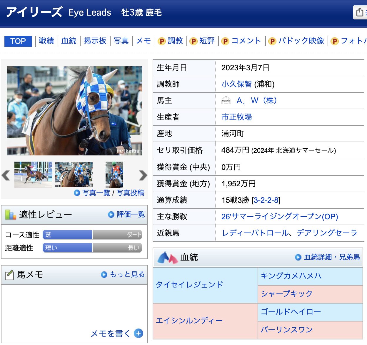 競馬　競走馬　アイリーズ