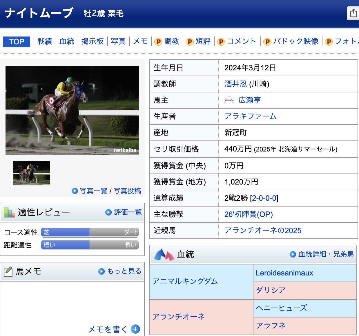 競馬　競走馬　ナイトムーブ