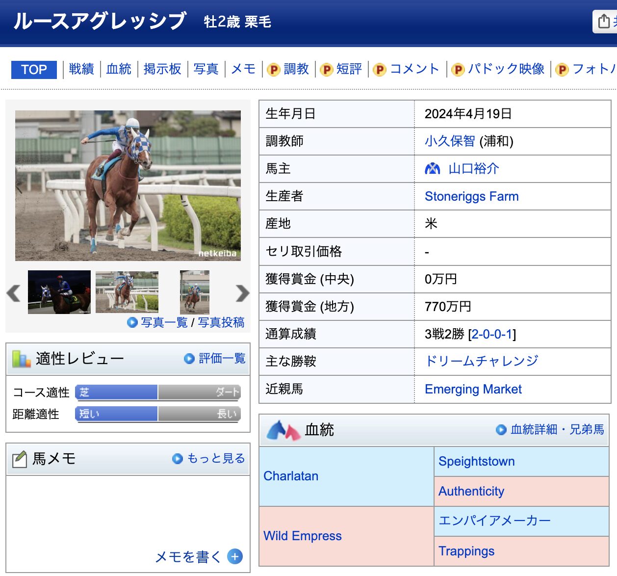 競馬　競走馬　ルースアグレッシブ