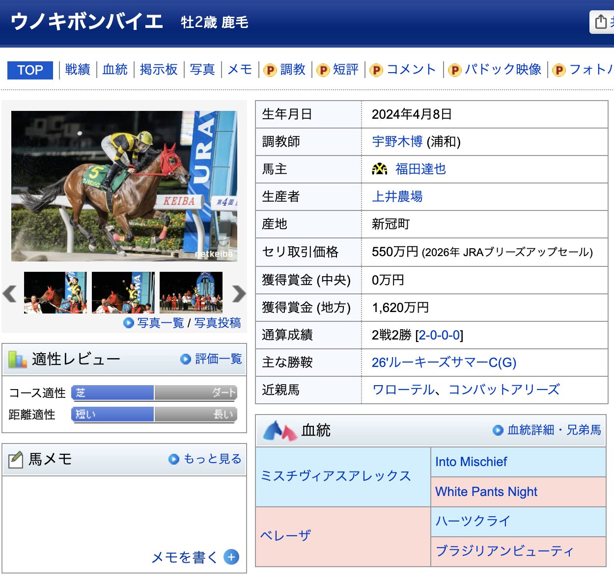 競馬　競走馬　ウノキボンバイエ