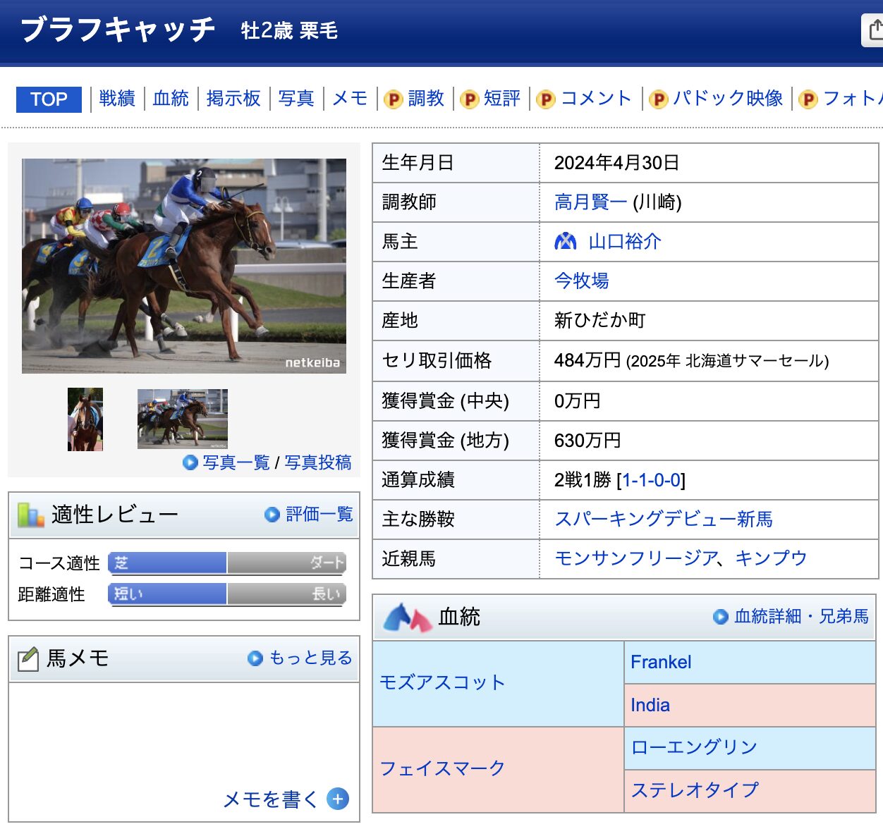 競馬　競走馬　ブラフキャッチ
