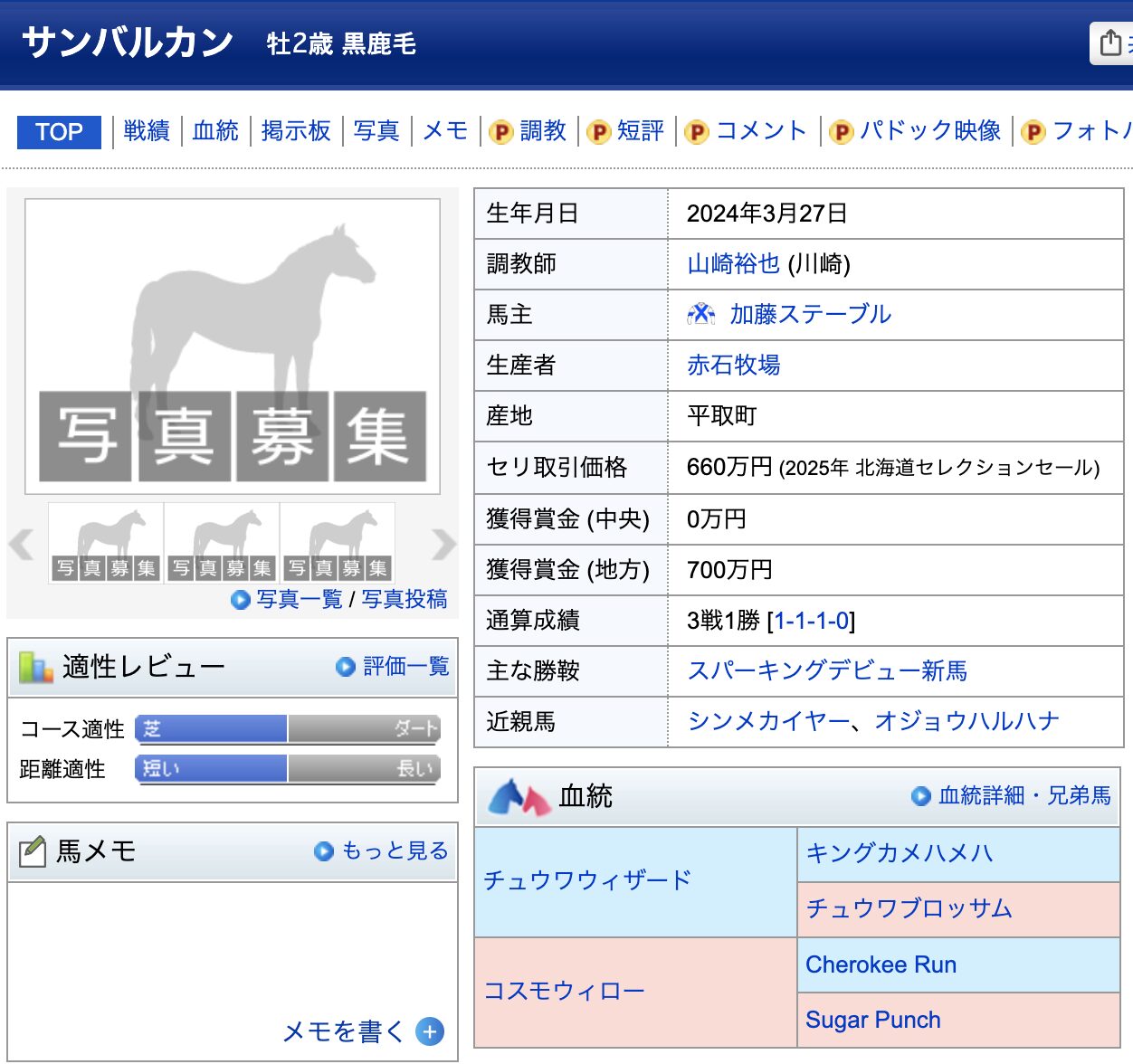 競馬　競走馬　サンバルカン