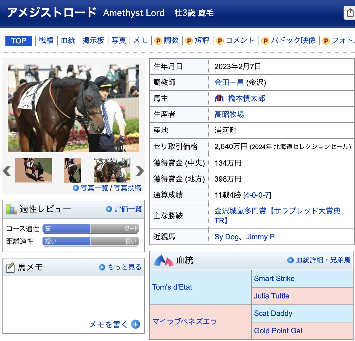 競馬 競走馬 アメジストロード