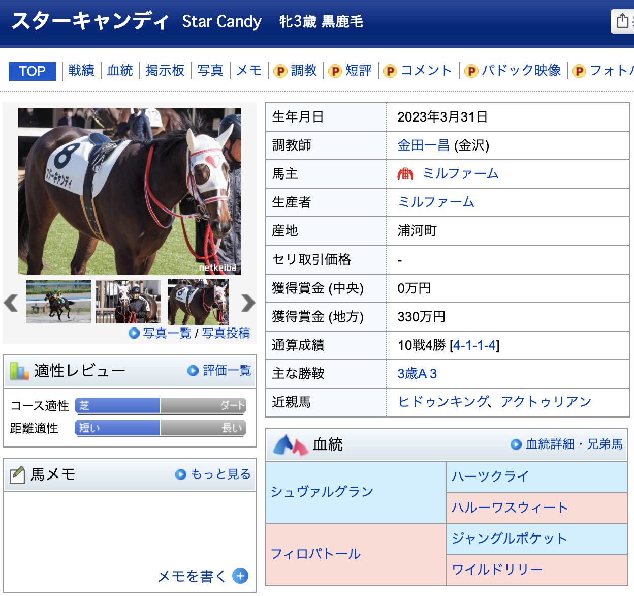競馬 競走馬 スターキャンディ