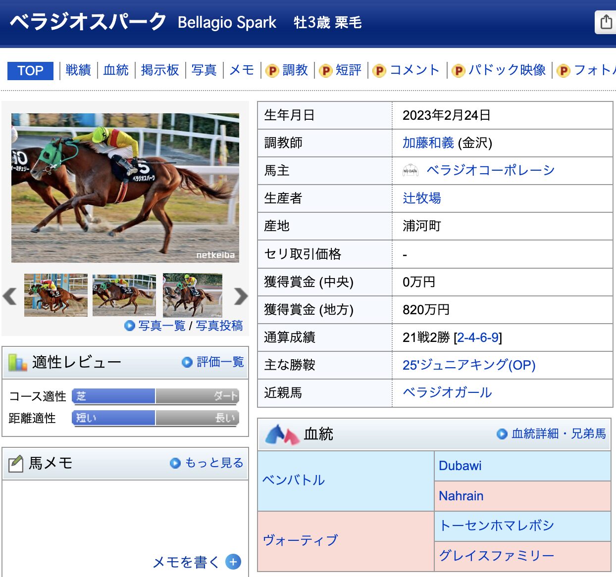 競馬 競走馬 ベラジオスパーク