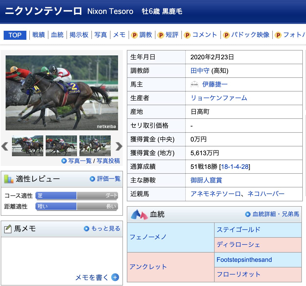 ニクソンテソーロ 競馬 競走馬