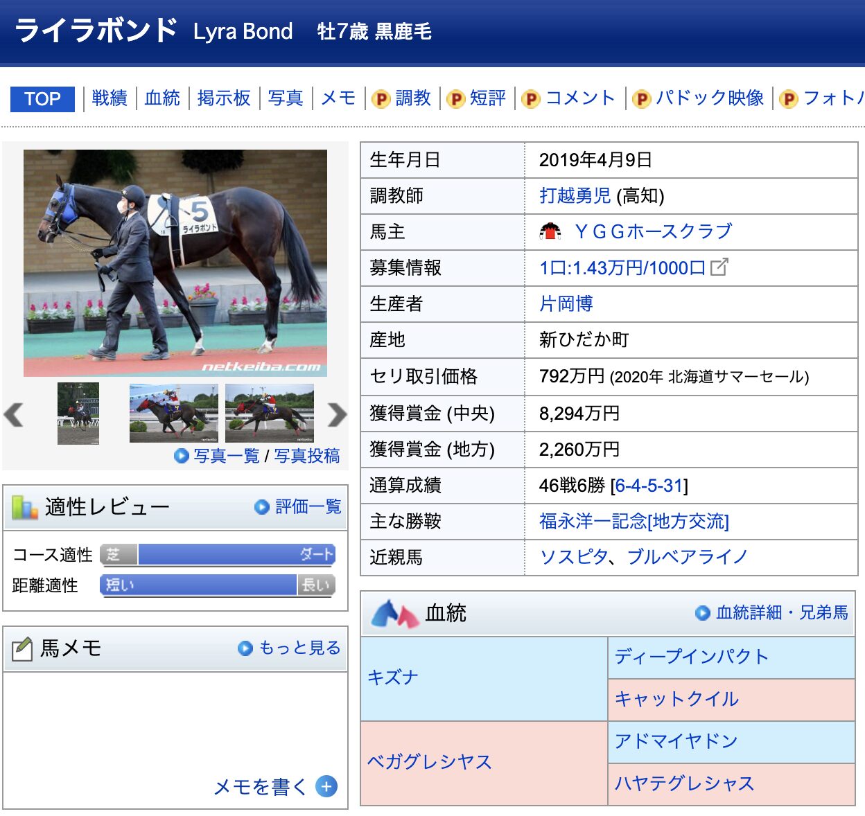 ライラボンド 競馬 競走馬