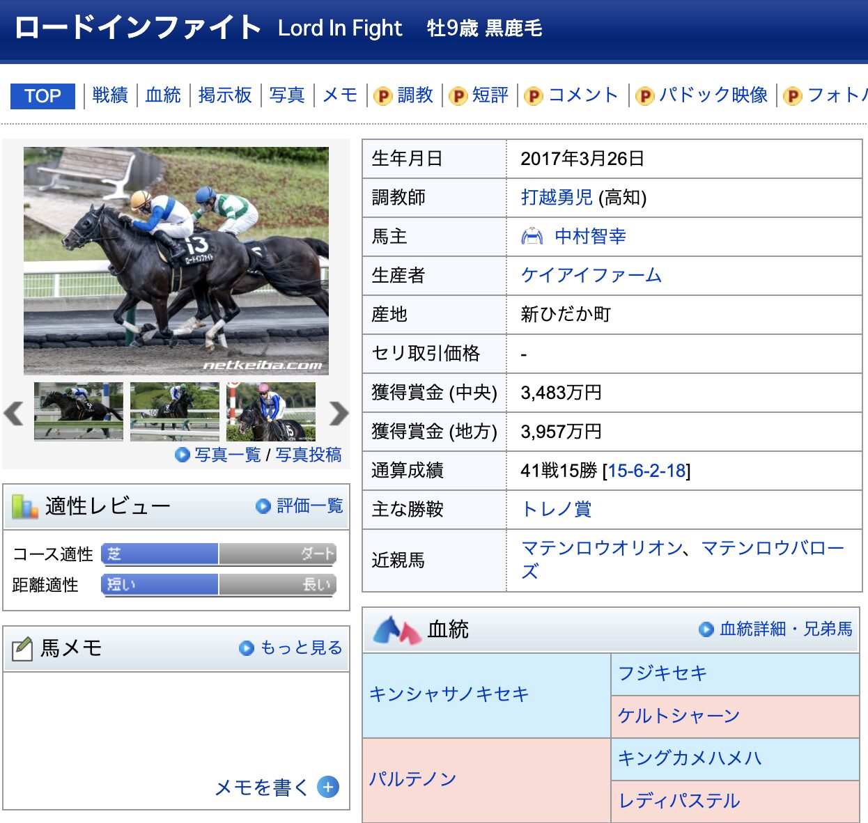 ロードインファイト 競馬 競走馬