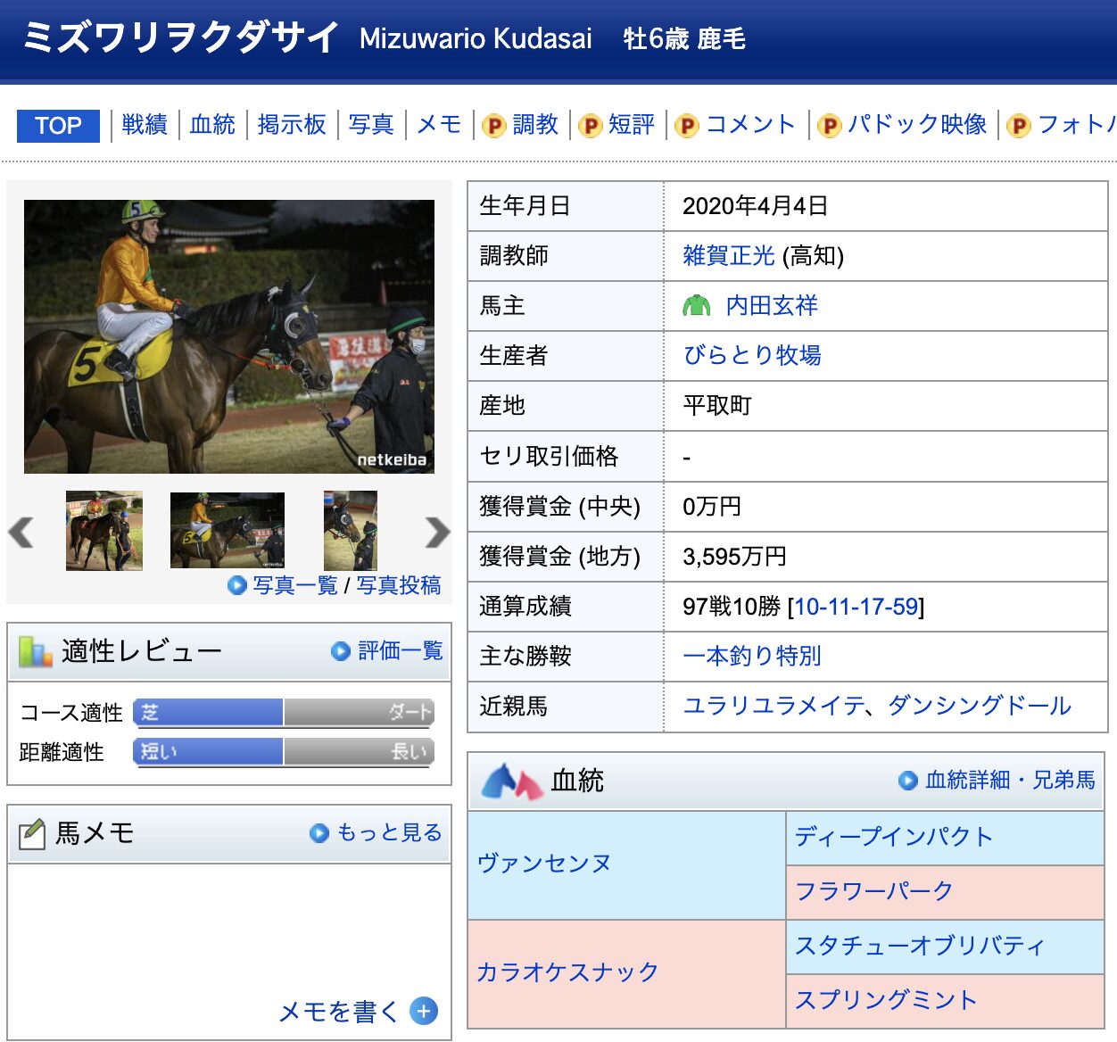 ミズワリヲクダサイ 競馬 競走馬