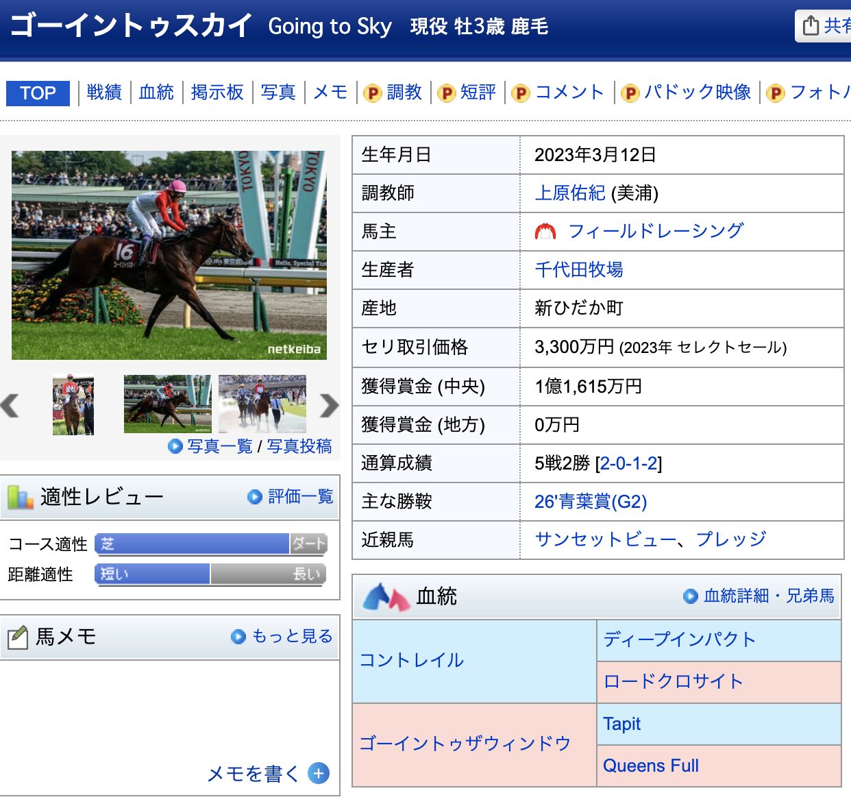 ゴーイントゥスカイ 競馬 競走馬