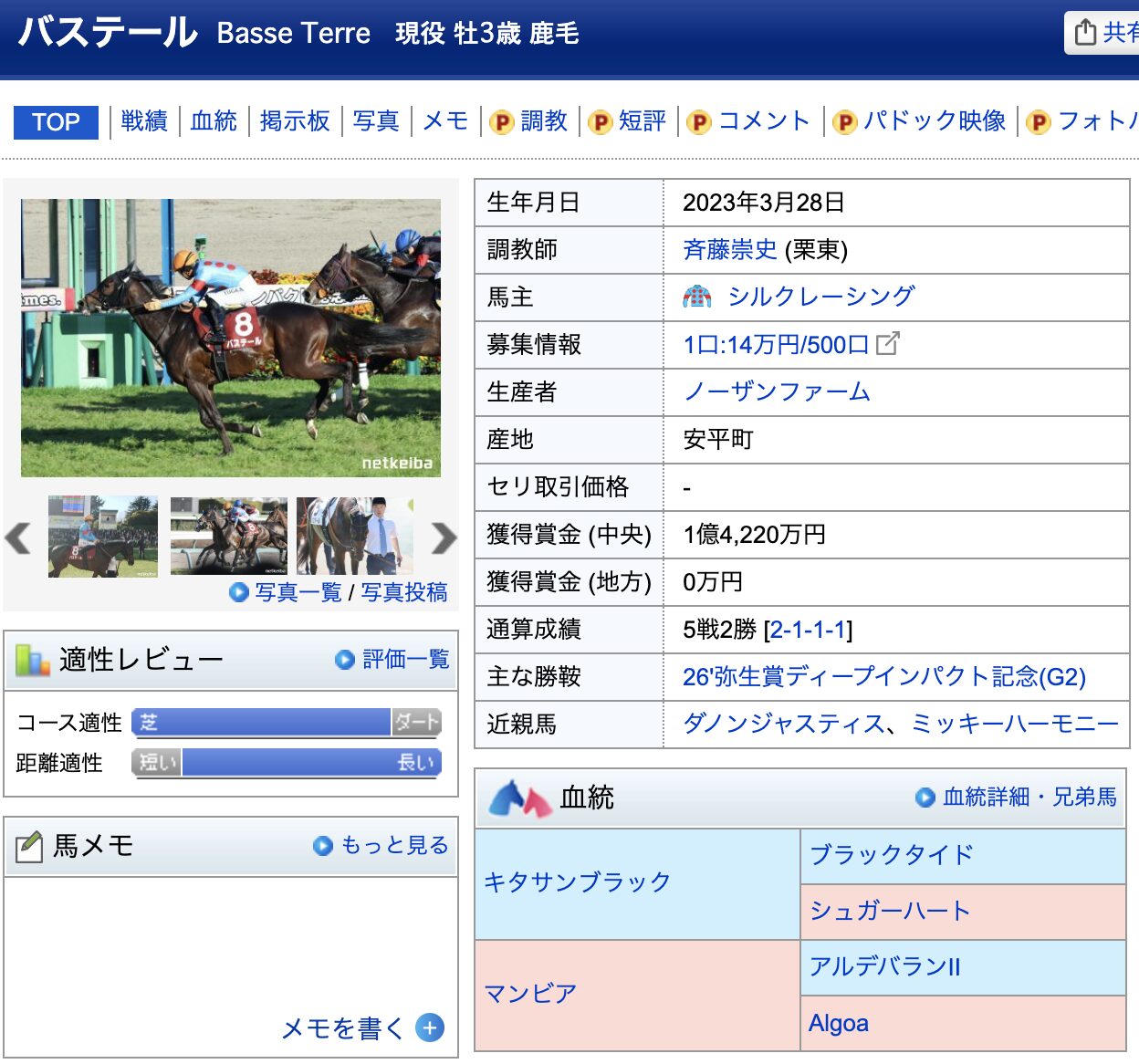 バステール 競馬 競走馬