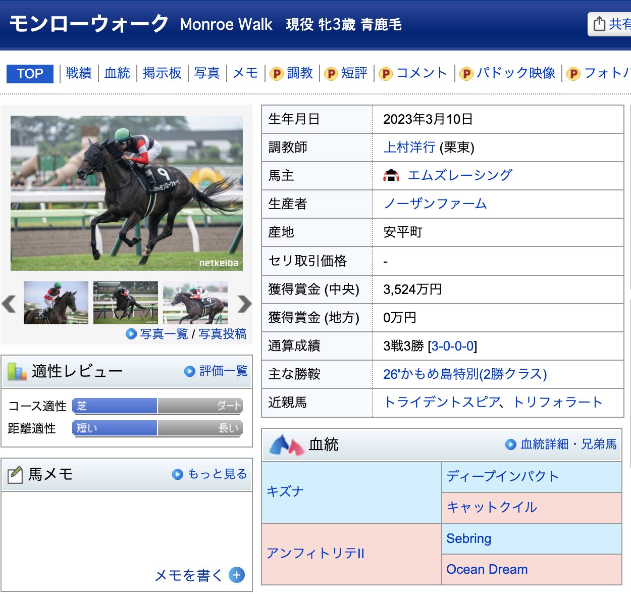 モンローウォーク　競馬　競走馬
