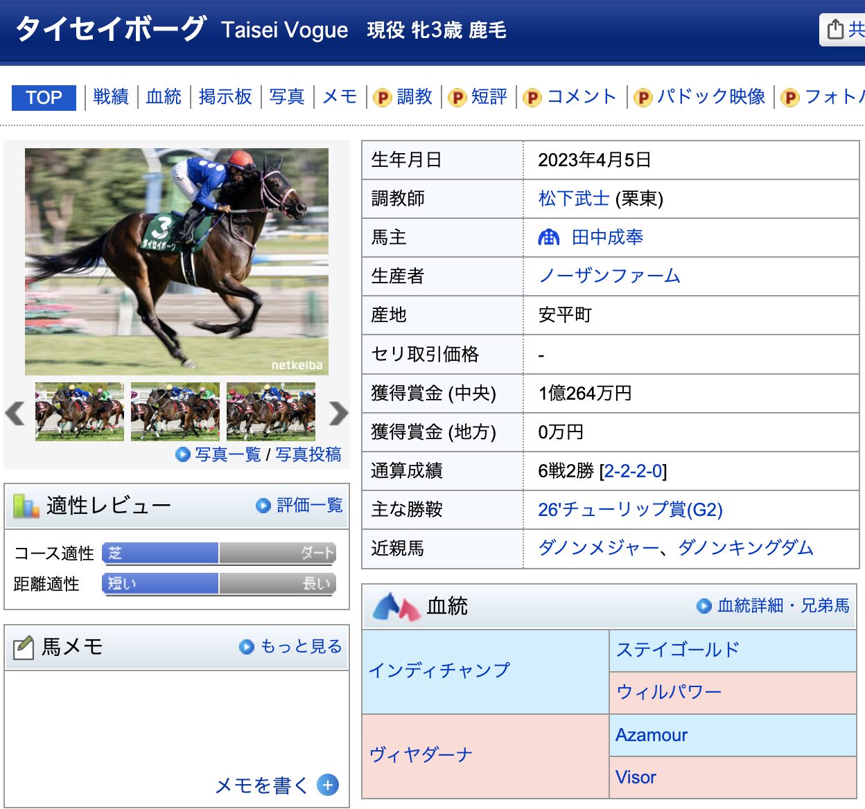 タイセイボーグ　競馬　競走馬